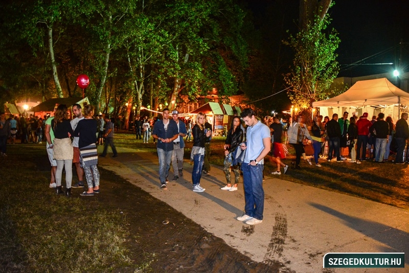 szin2014szkpage024