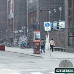 somogyi konytar ent old