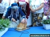 augusztus20unnepseg2012023