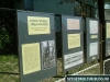 Augusztus20-halfozo-verseny2012-sarga008