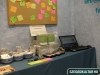 palyavalasztanivasan2012asod001